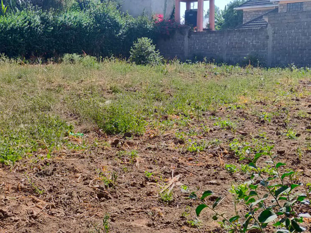 An image about Vacant 1/4 Acre plot