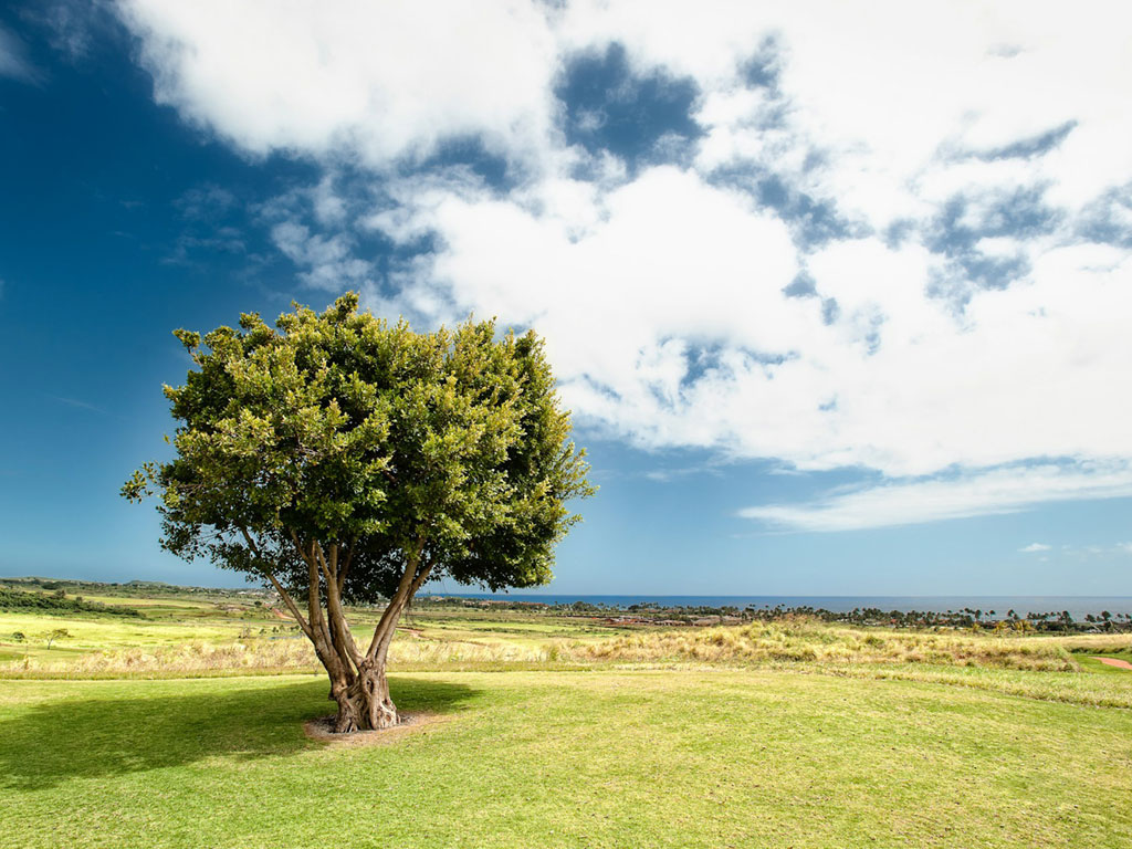 An image about Half Acre Plots in Runda