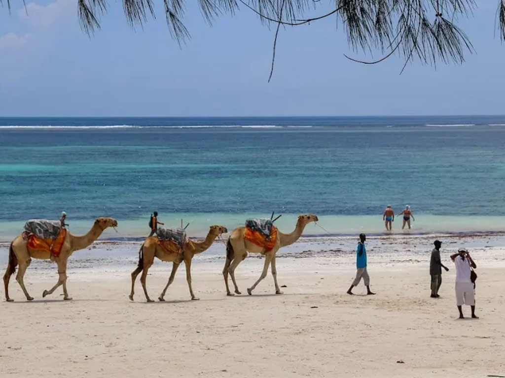 An image about 1.9 Acres, Price 6M per acre