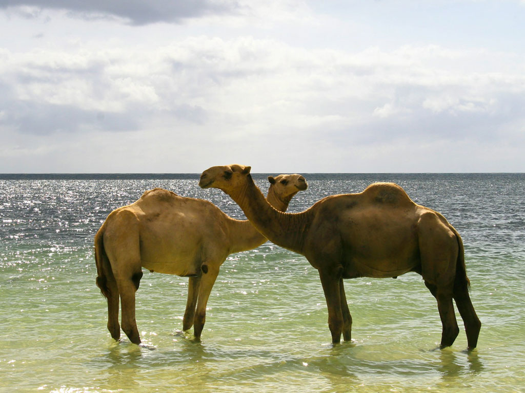 An image about 8.3 Acres, Price: 6M per acre